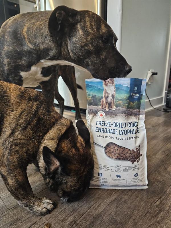 Photo - commentaire 5.