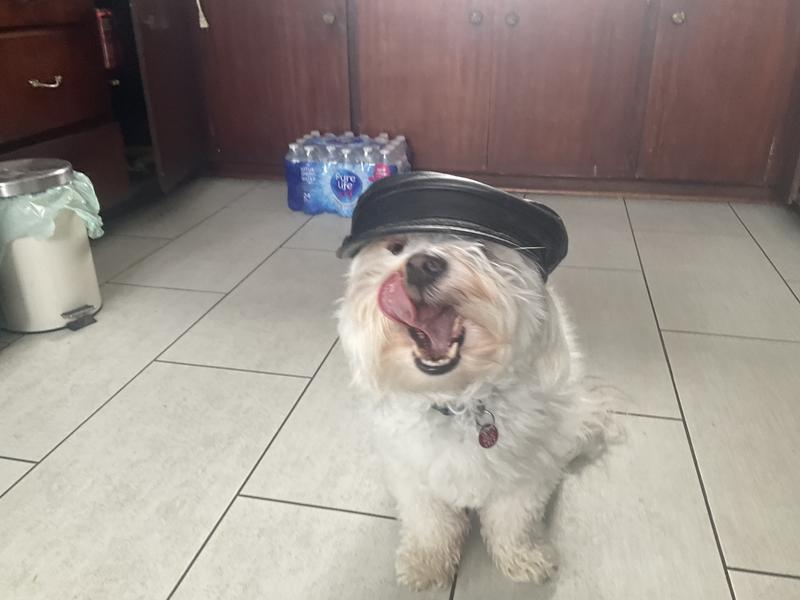 Photo - commentaire&nbsp;5.