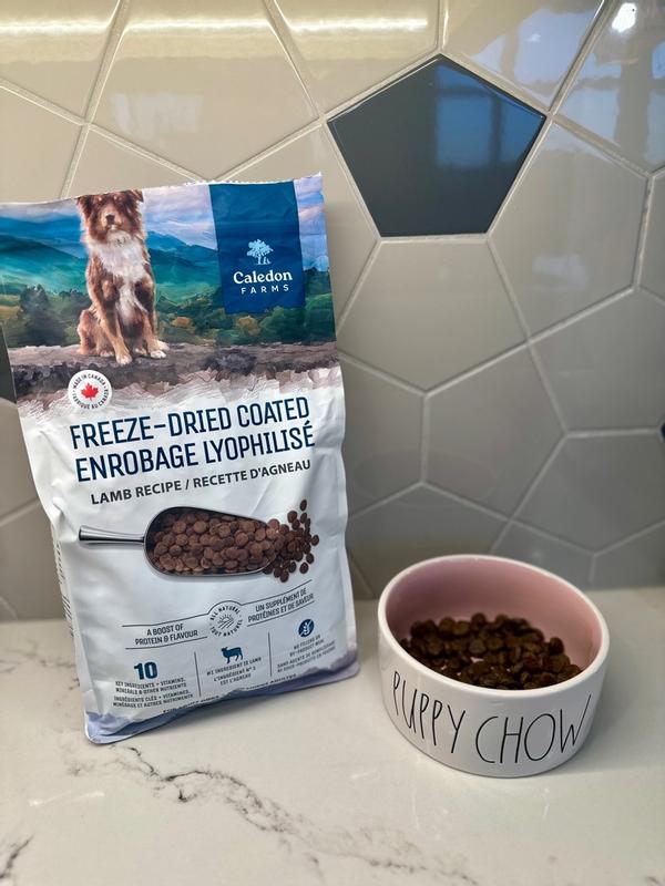 Photo - commentaire 3.