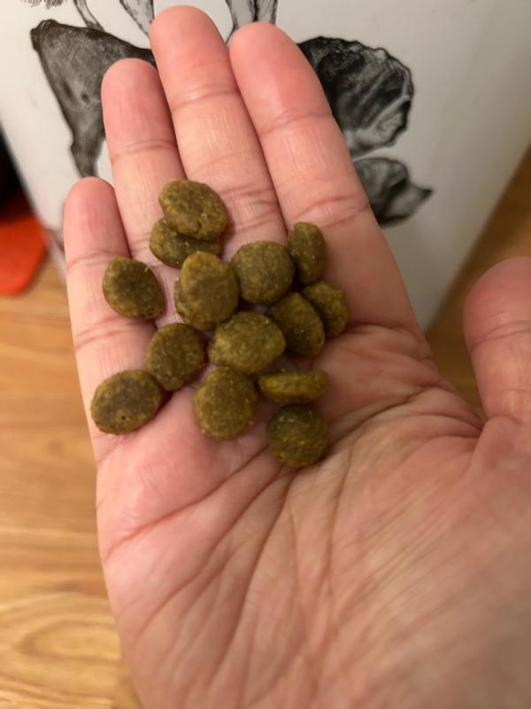 Photo - commentaire&nbsp;2.