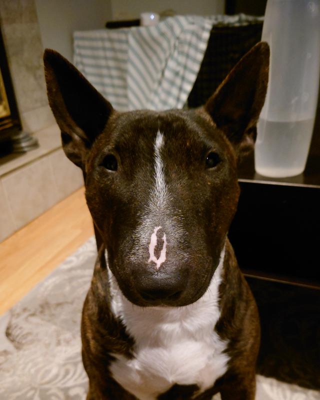 Photo - commentaire&nbsp;4.