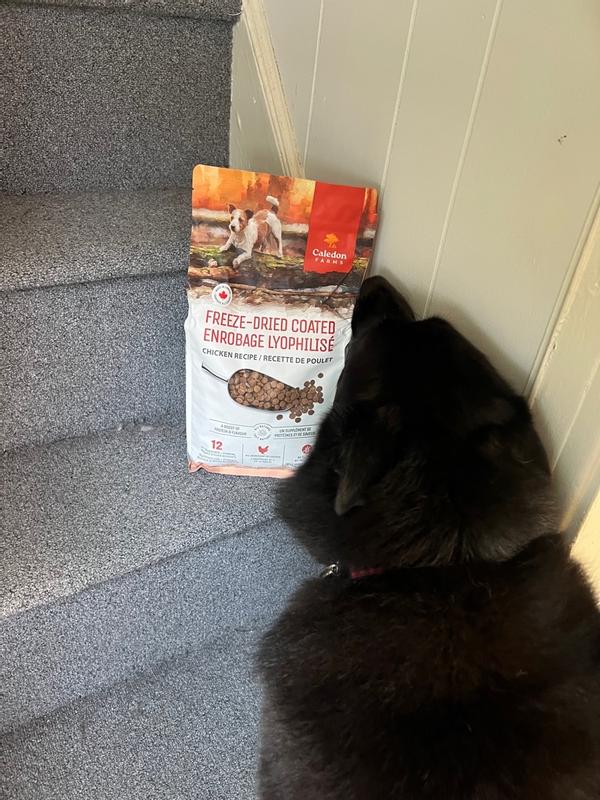 Photo - commentaire&nbsp;7.