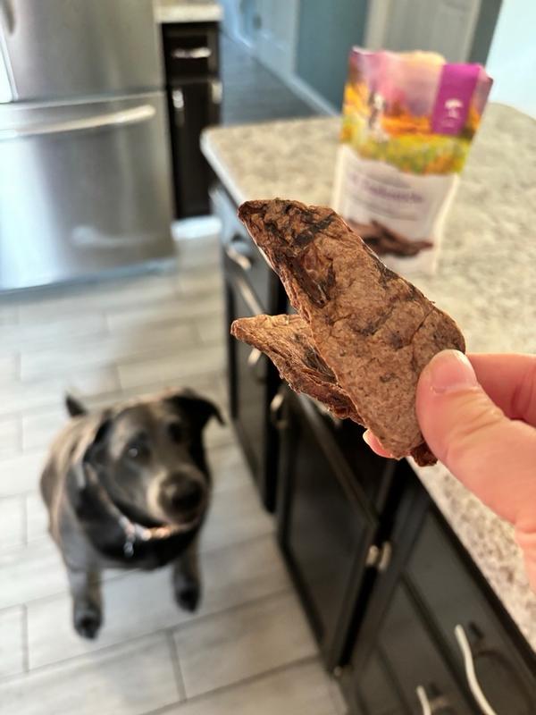 Photo - commentaire&nbsp;2.