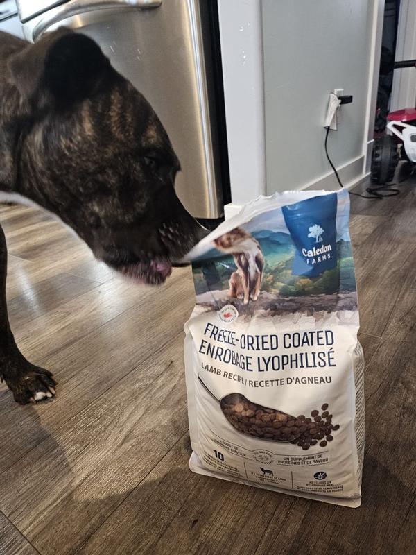 Photo - commentaire 4.