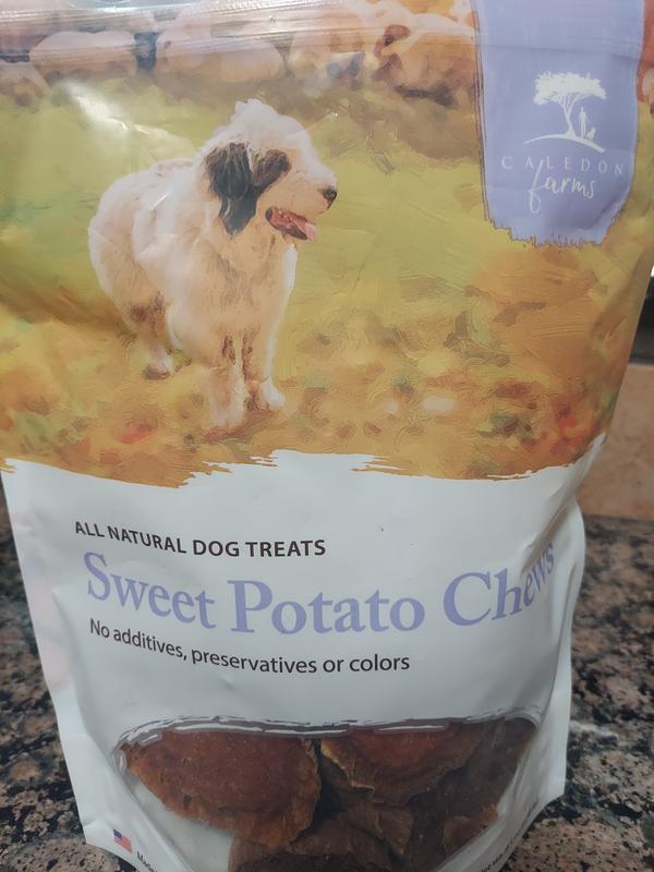 Photo - commentaire&nbsp;6.