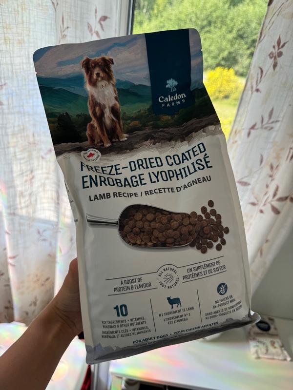 Photo - commentaire 8.