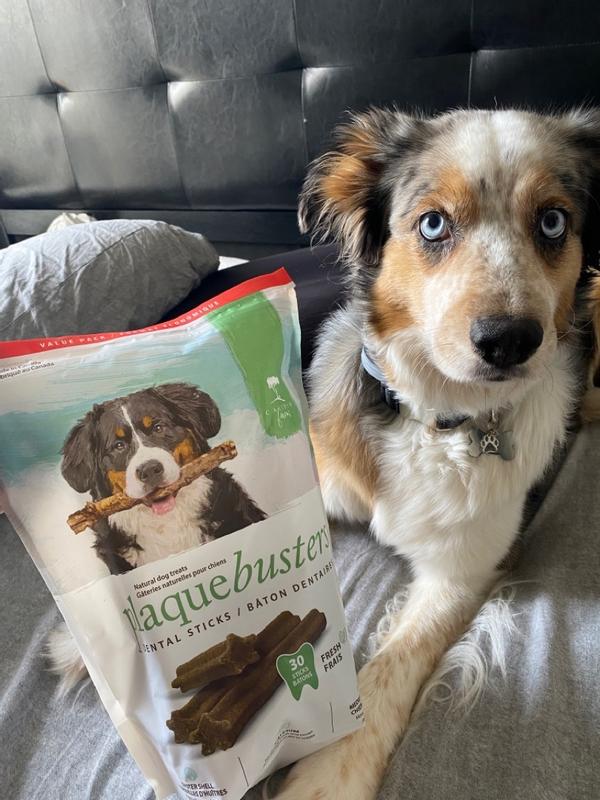 Breath busters clearance dog treats