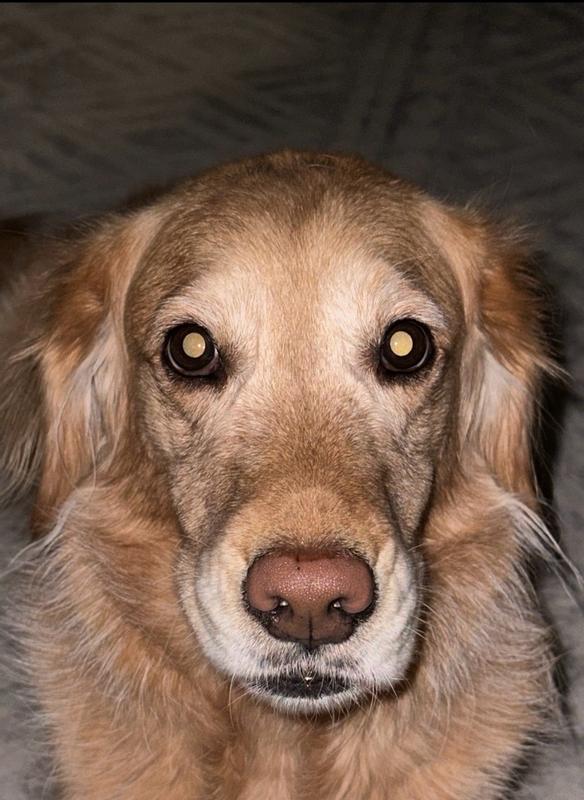 Photo - commentaire&nbsp;3.