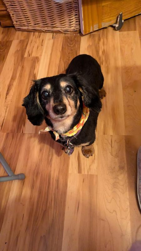 Sydney's 13th birthday