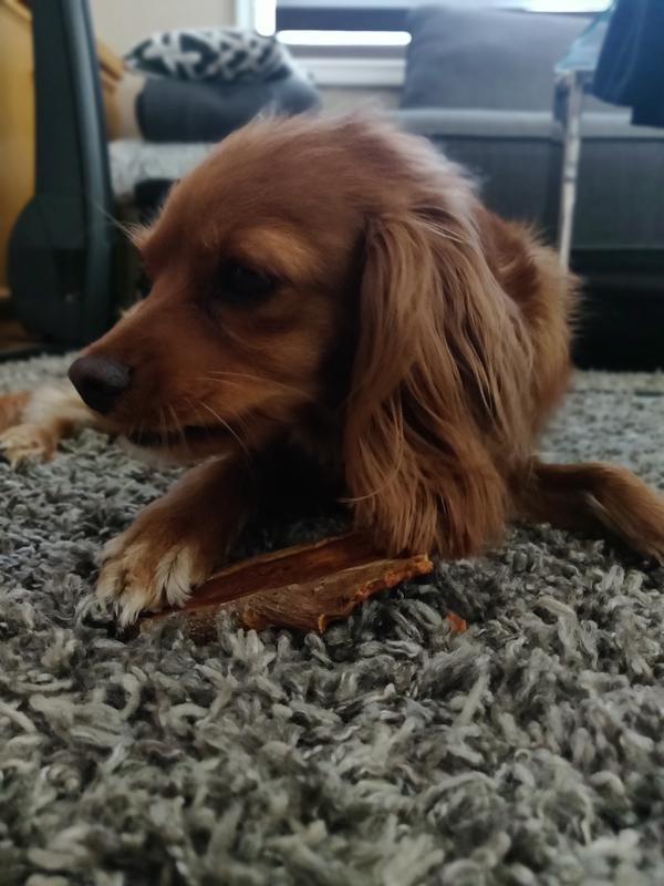 Photo - commentaire&nbsp;8.