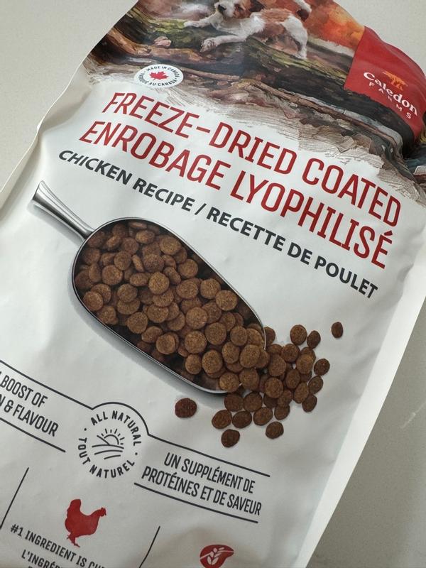 Photo - commentaire&nbsp;6.