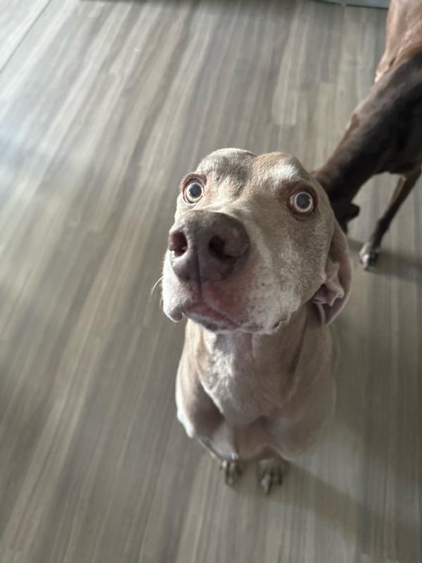 Photo - commentaire&nbsp;4.