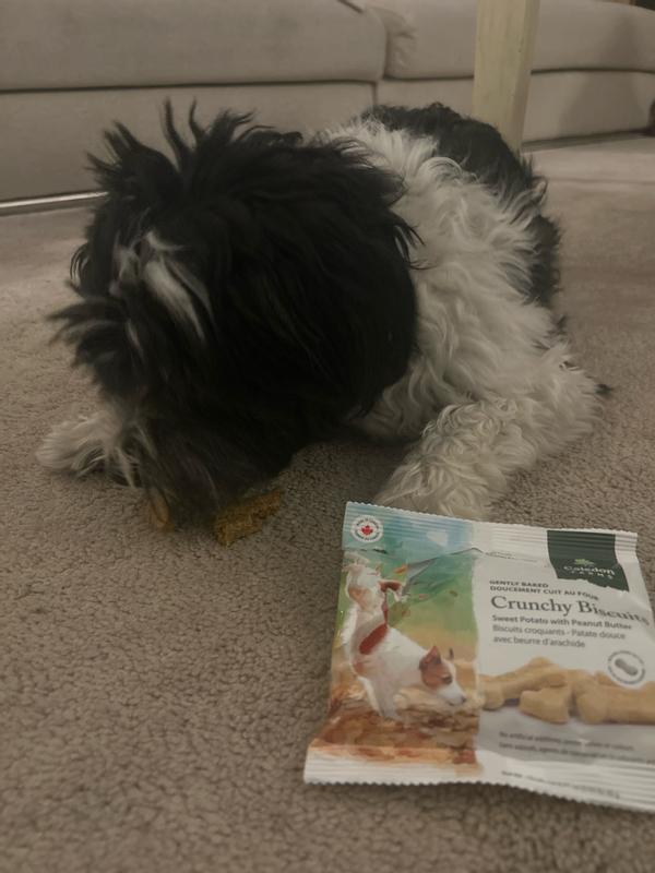 Review photo 4.