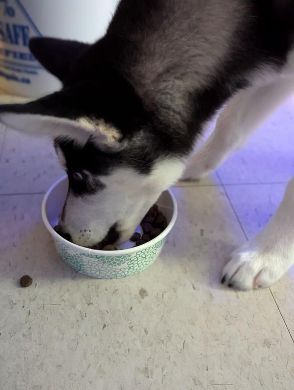 Photo - commentaire&nbsp;1.