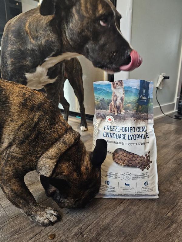 Photo - commentaire 6.