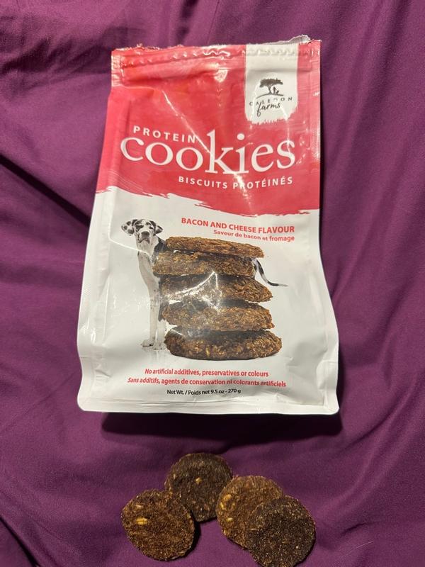 Photo - commentaire&nbsp;6.