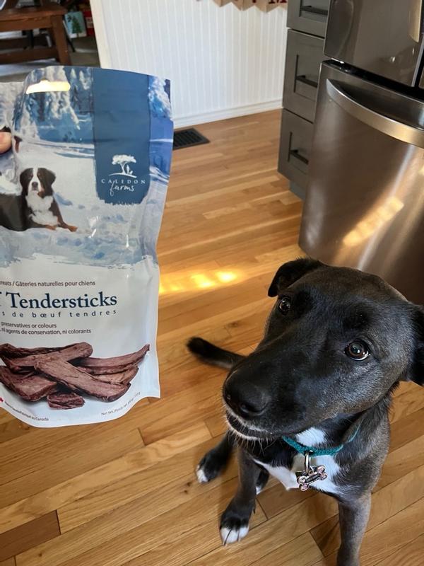 Beef Tendersticks Dog Treats Caledon Farms U.S