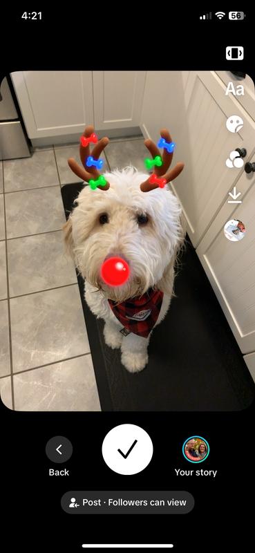 Photo - commentaire 1.