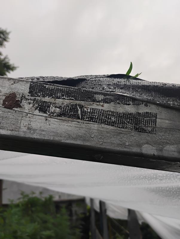 Review photo 1.