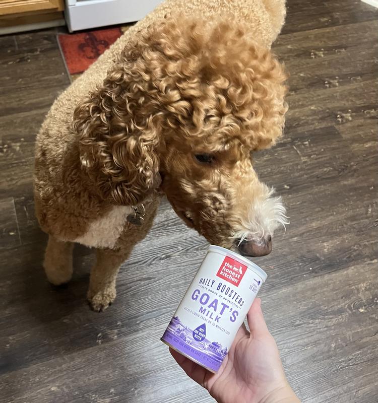 The Honest Kitchen Daily Boosts Instant Goat s Milk with Probiotics Wet Dog Food 5.2 oz. Petco