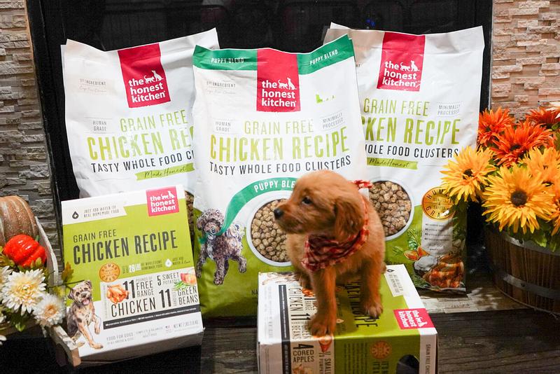 The Honest Kitchen Grain Free Whole Food Clusters for Puppies