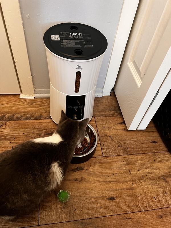 The Honest Kitchen Whole Food Clusters Grain Free Chicken Dry Cat Food