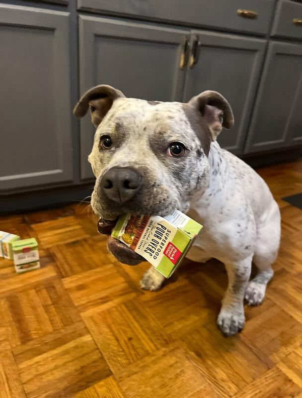 The Honest Kitchen Whole Food Clusters Grain Free Chicken Dry Dog Food, 20 lbs.