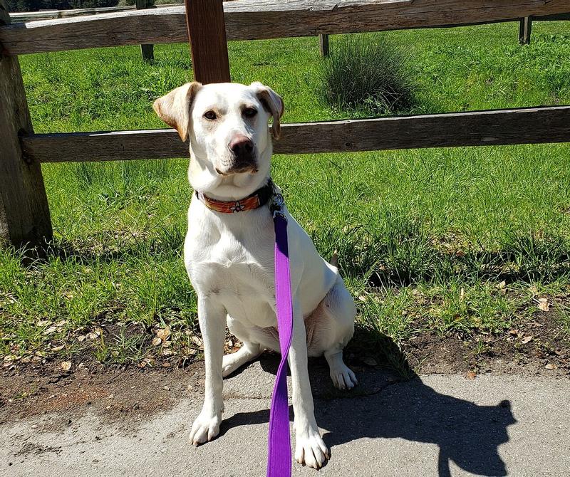 Review photo 1.