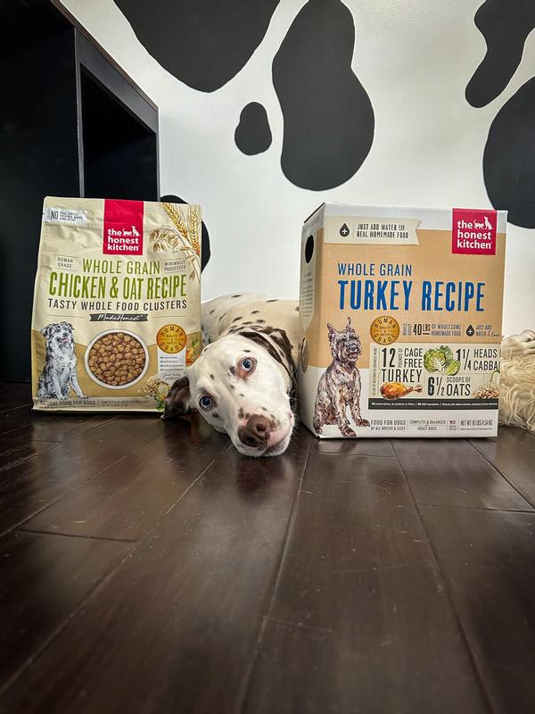 The Honest Kitchen Chicken Oat Whole Grain Dog Food 5 lbs