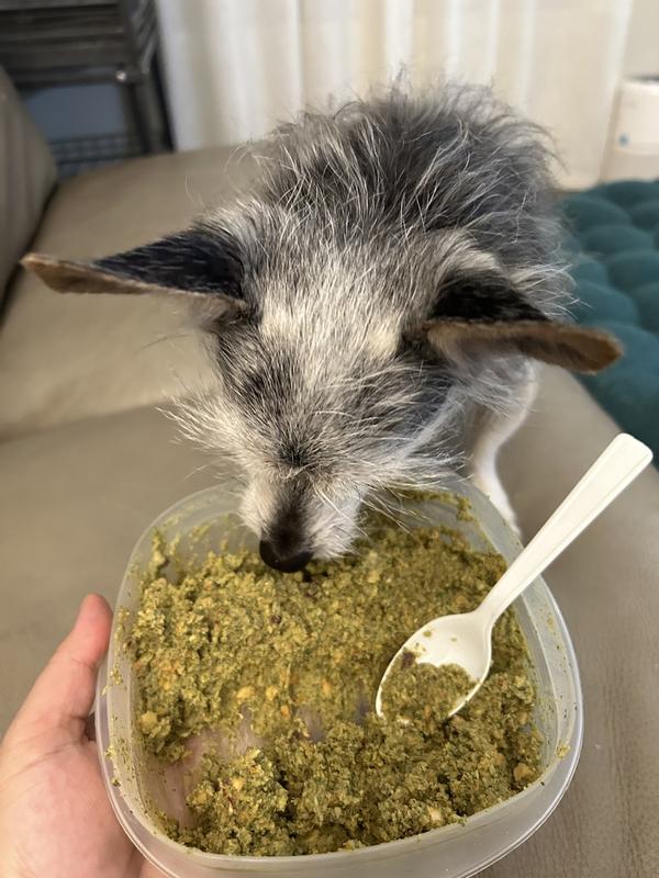 Pup loaf using honest kitchen hotsell