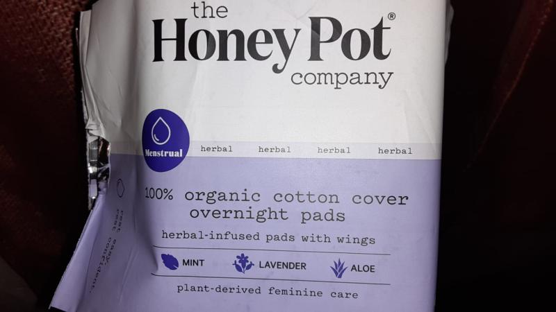 The Honey Pot Everyday Pantiliners, Herbal All Natural, Panty Liners for  Women (30 Count)