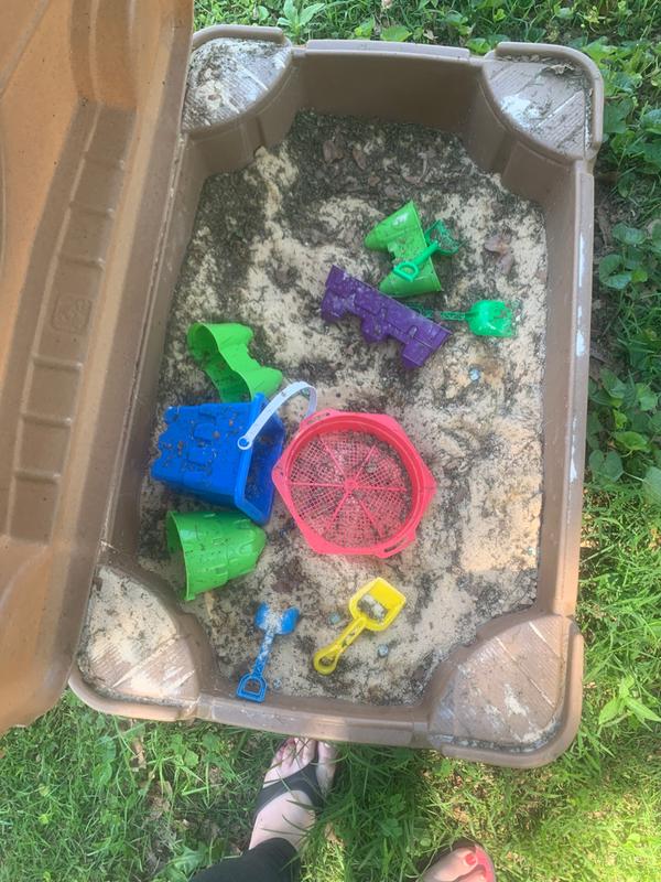 The holes in the lid let all sorts of leaves, grass and bugs in