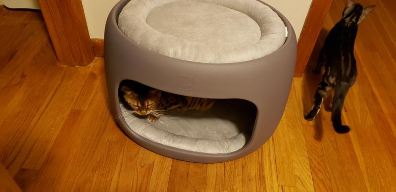 Furry Friends Bunk Bed™ from Step2