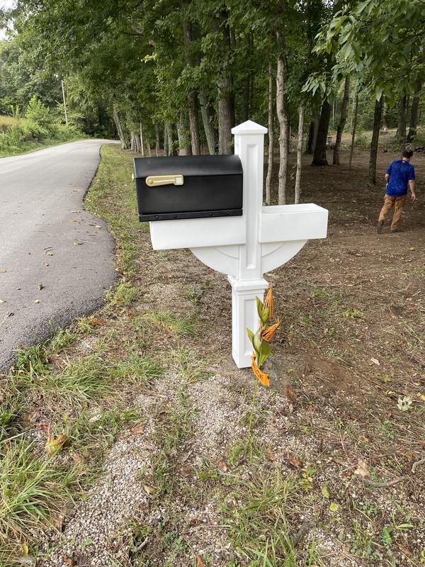 11+ Mailbox Planter Box