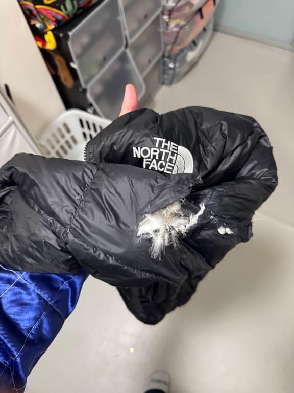 Customer photo for "fragile, overpriced jacket. disappointed in northface"