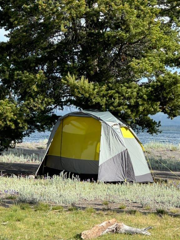 Wawona 4 Tent | The North Face