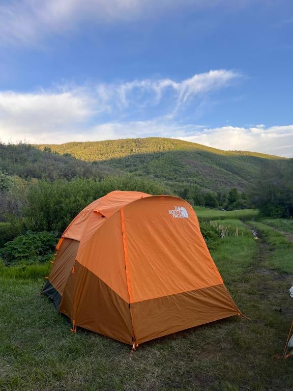 Wawona 4 Tent | The North Face
