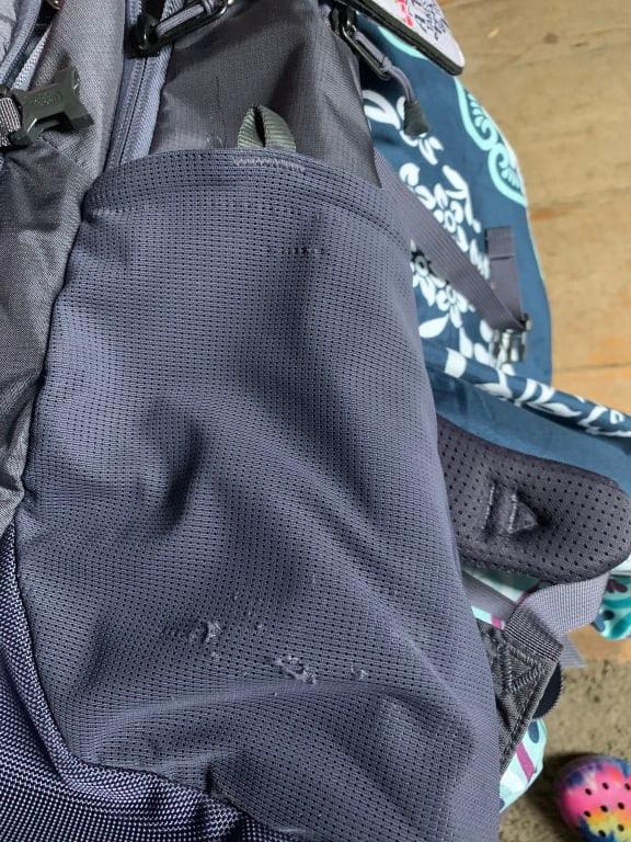 Customer photo for "Like the pack but it's not as large or durable as I thought"
