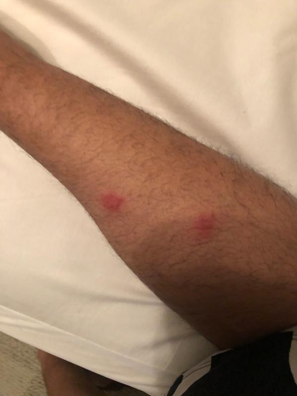Photo submitted with review of product