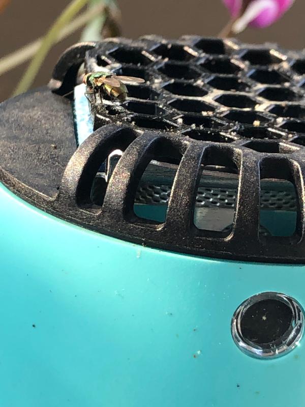 Photo submitted with review of product