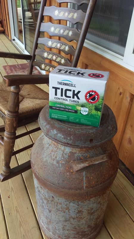 The name we trust most