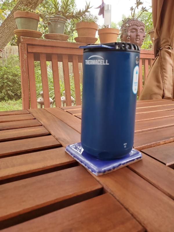 Photo submitted with review of product