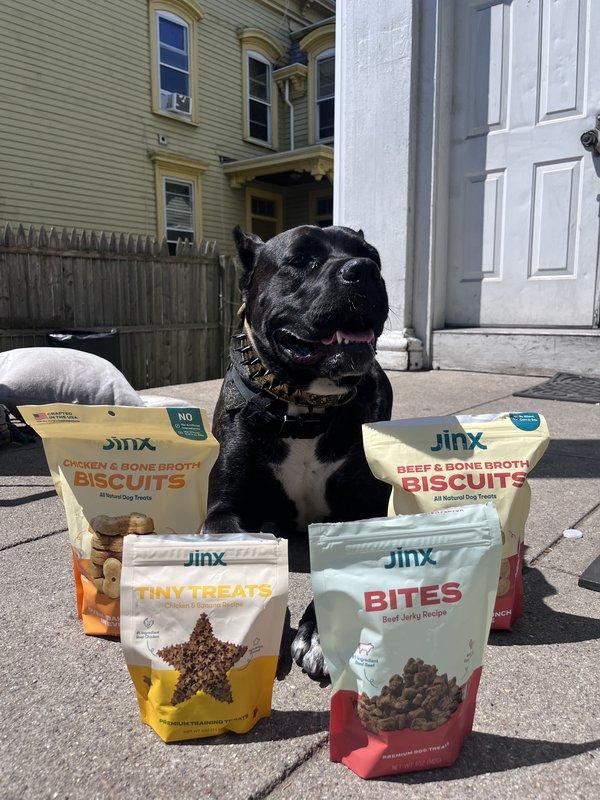 Pitbull Dog Treats Best Training Treats For Pitbulls Shop Premium