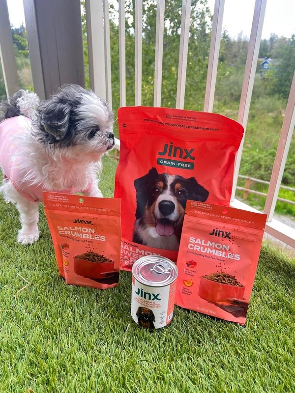 Shop Grain Free Salmon Dog Food With Carrots Kibble Jinx