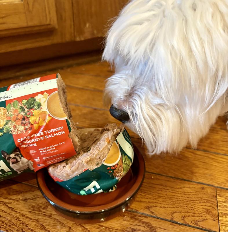 Shop Grain-Free Tuna Dog Food With Chicken: Wet Food – Jinx