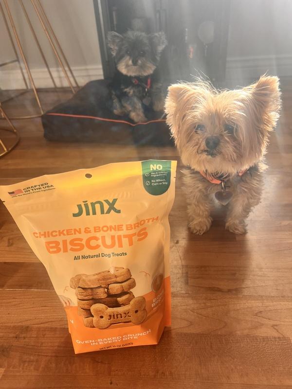 Dog Treats: Bone Broth Biscuit Duo Bundle – Jinx