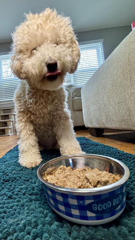 Shop Grain-Free Tuna Dog Food With Chicken: Wet Food – Jinx
