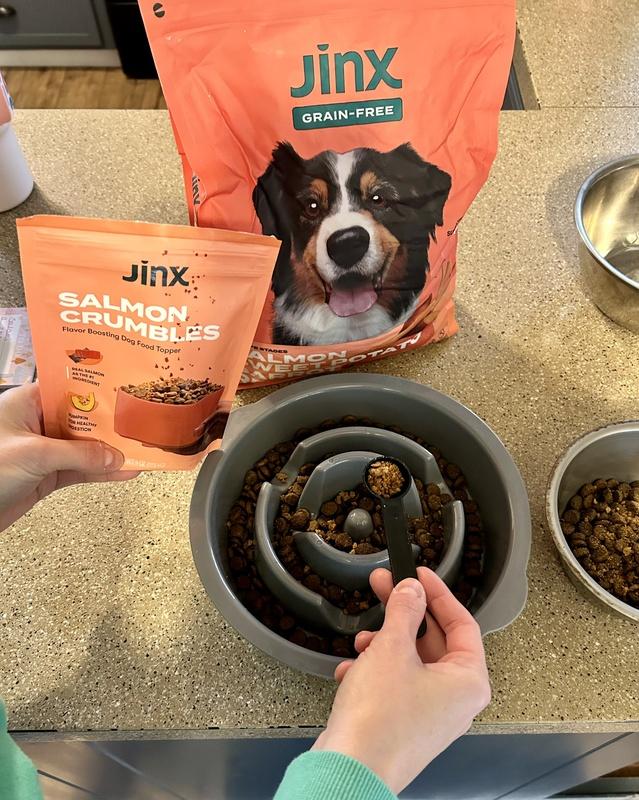 Shop Our Pate Wet Food for Dogs Variety Pack Jinx