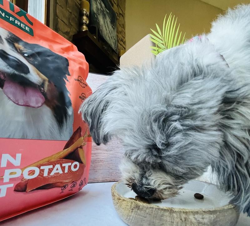 Grain-Free Dog Food Sampler Chicken and Salmon Variety – Jinx