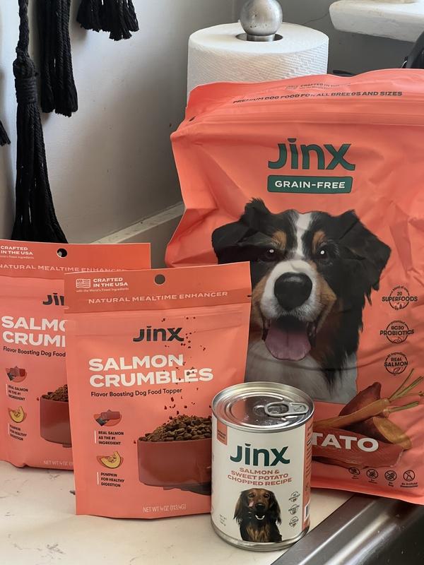 Go salmon dog food review store